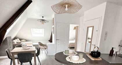 Charmant duplex dans l'hyper centre-ville de Brive-la-Gaillarde, refait Ă neuf !