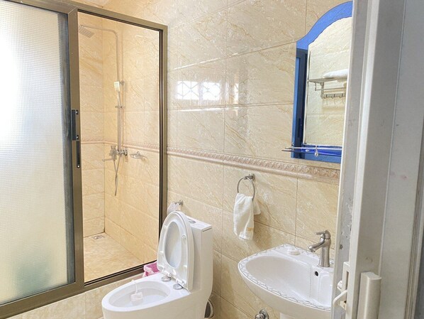 Hair dryer, towels, soap, shampoo