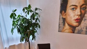 Une table à manger dressée avec des assiettes, des couverts et des verres, entourée de chaises, avec une plante et un tableau accroché au mur.