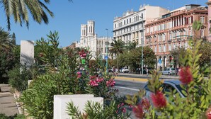 A street with buildings, a palm tree, and a car. - Guest House Sonnino 37 Cagliari (Cagliari)