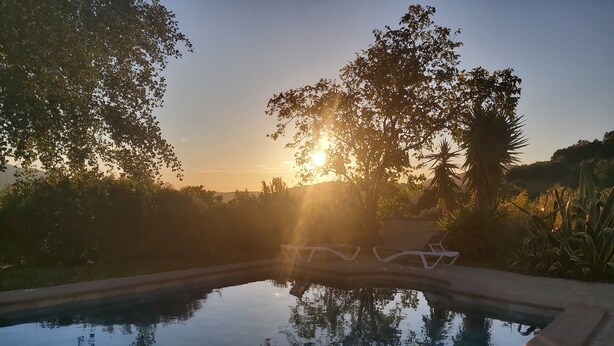 Un área de piscina tranquila con vistas despejadas al atardecer, rodeada de abundante vegetación y una palmera.