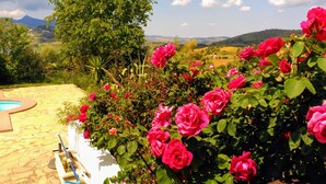 Un jardín con rosas rosadas, una piscina y vistas a colinas distantes.