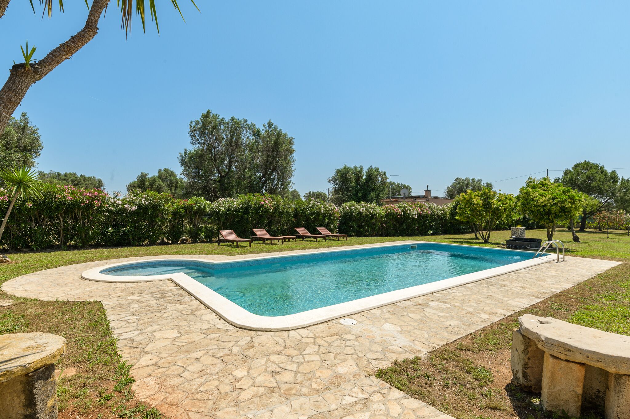 Piscina externa