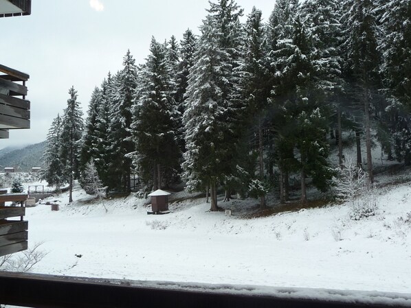 المنطقة المحيطة بالمنشأة