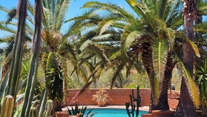 A pool surrounded by cacti and palm trees. - The Duke - Iconic Foothills Escape with Pool &Spa (Tucson)