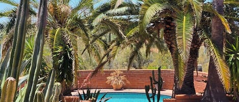 A pool surrounded by cacti and palm trees.