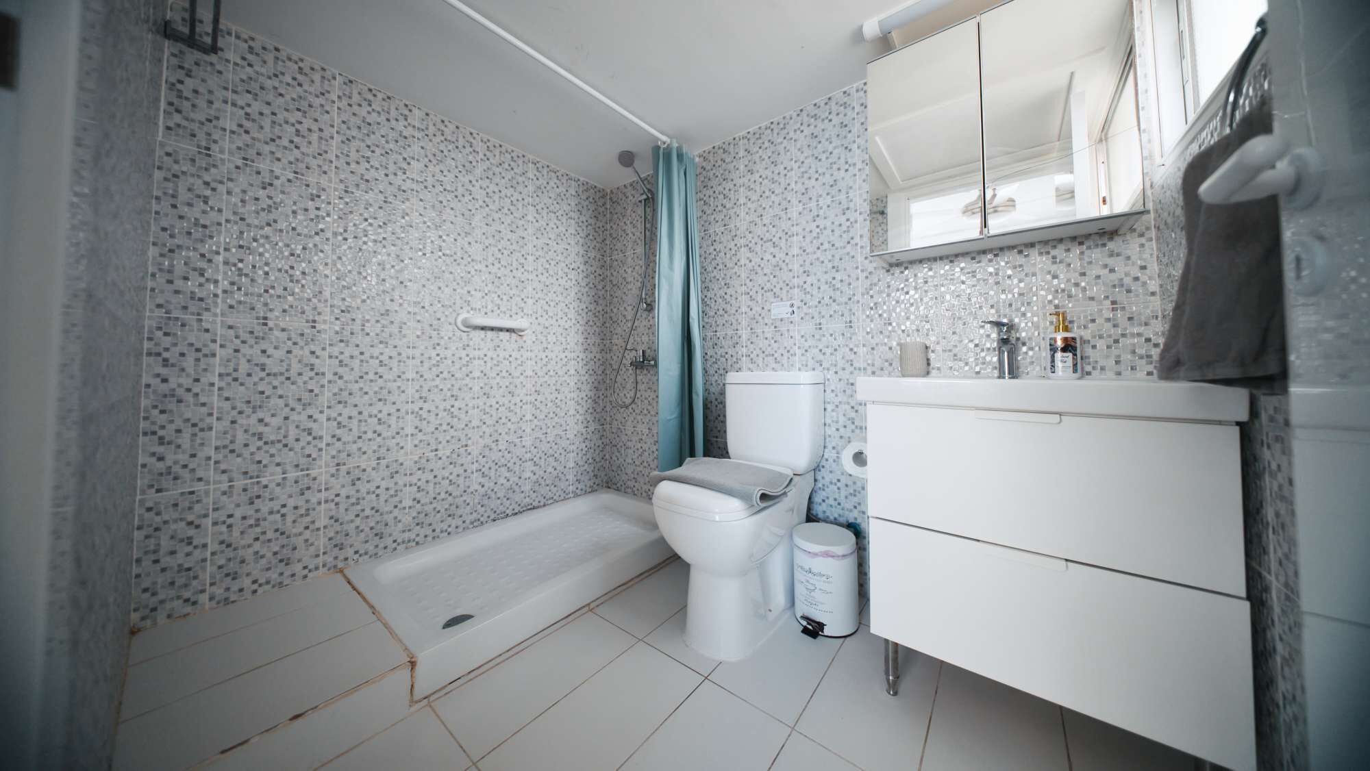 Shower, hair dryer
