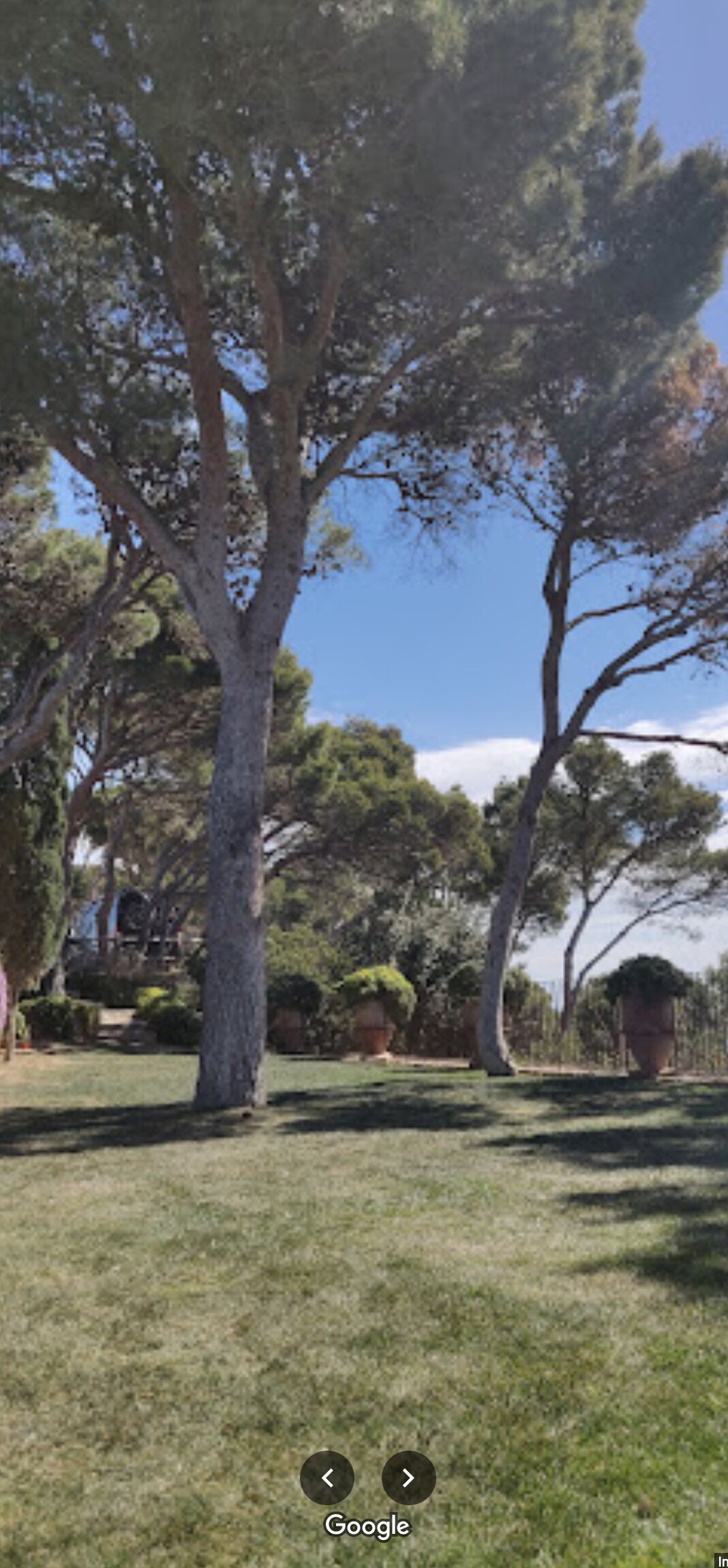 Una zona erbosa con alberi e cielo sereno.