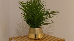 A wooden shelf with a potted plant and folded towels. - Charmant Duplex 30 min Paris (Corbeil-Essonnes)
