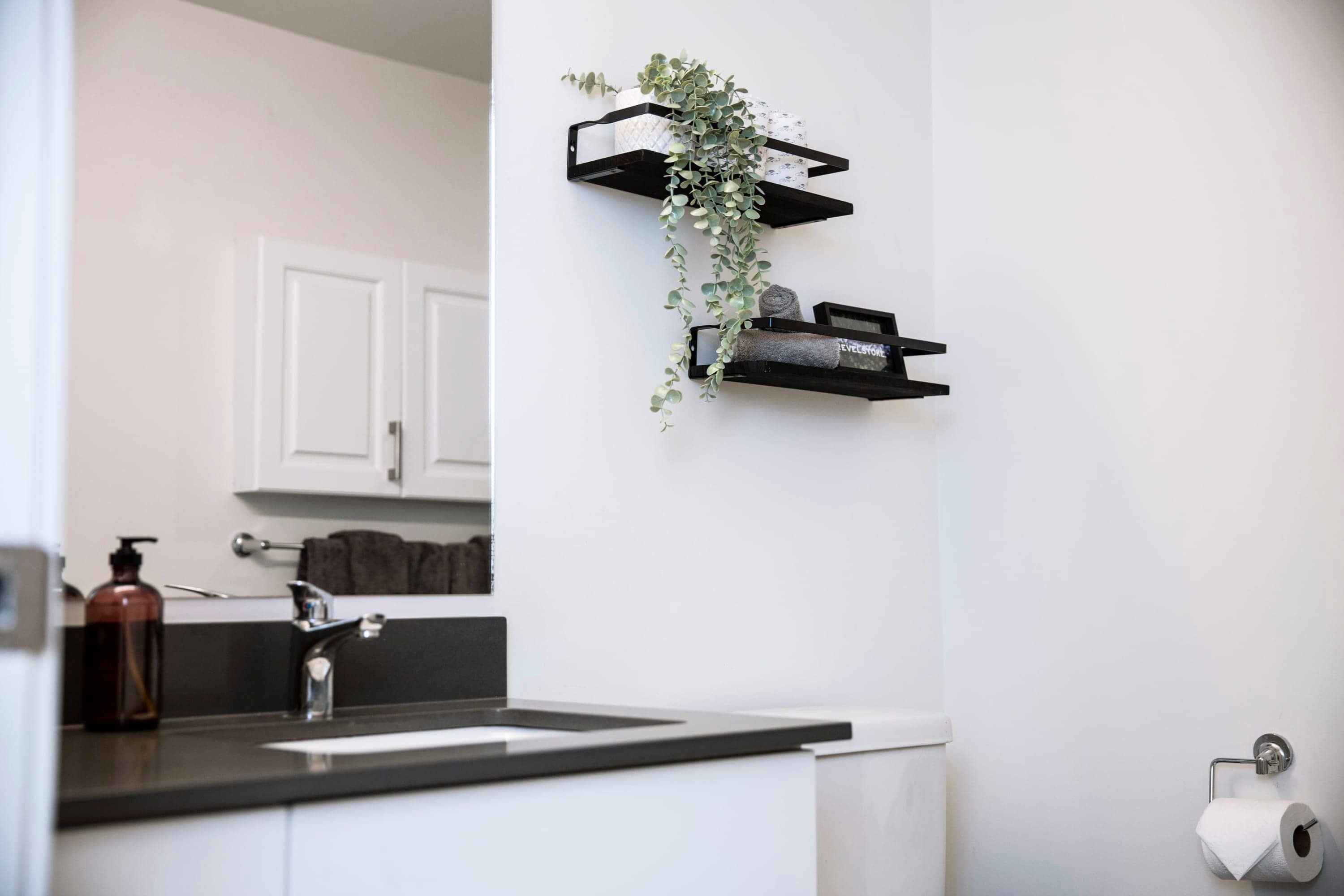 A modern kitchen with a black countertop, white cabinets, a hanging plant, and a toilet paper holder.