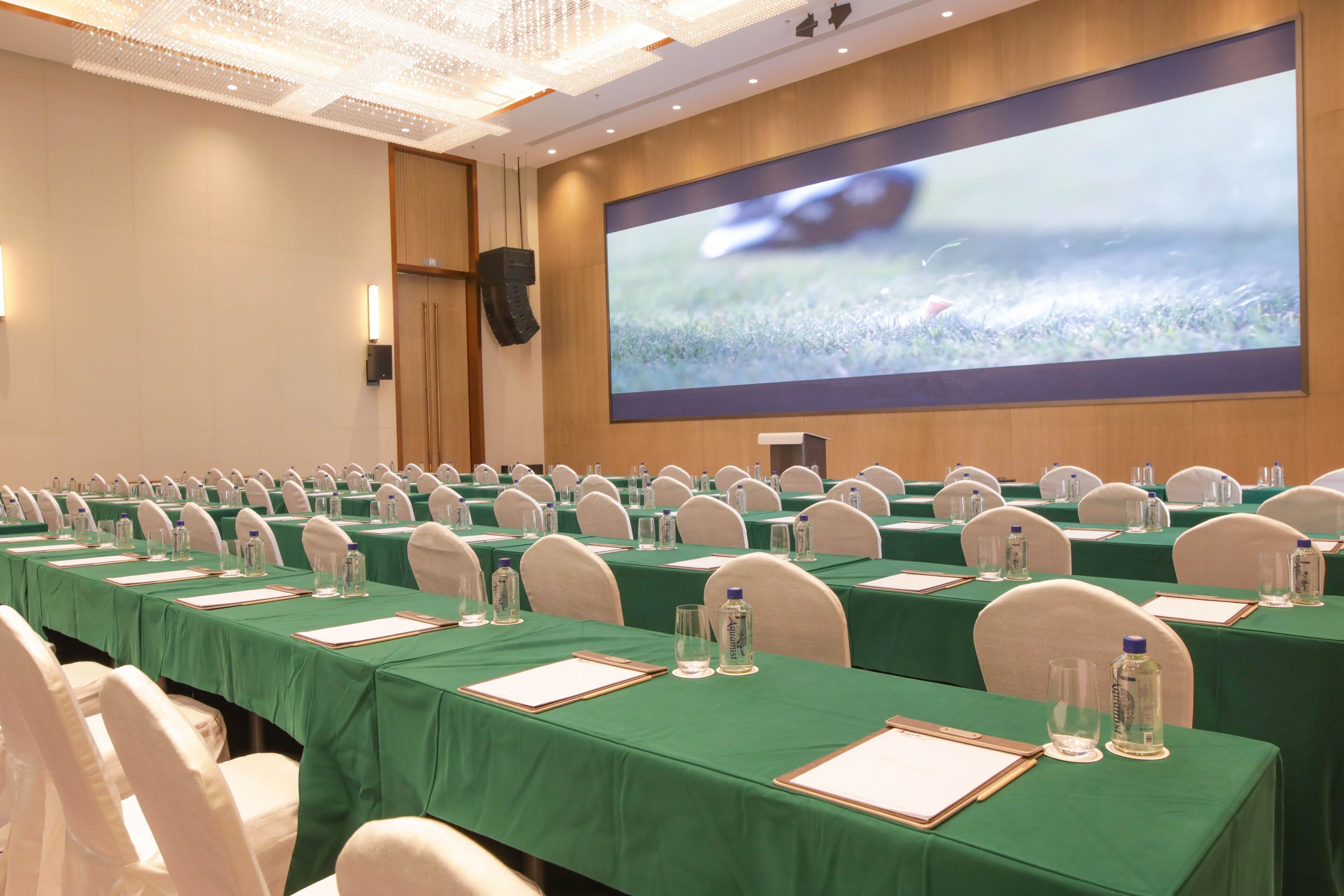 A conference room with rows of tables, chairs, and a large screen displaying a grass field.