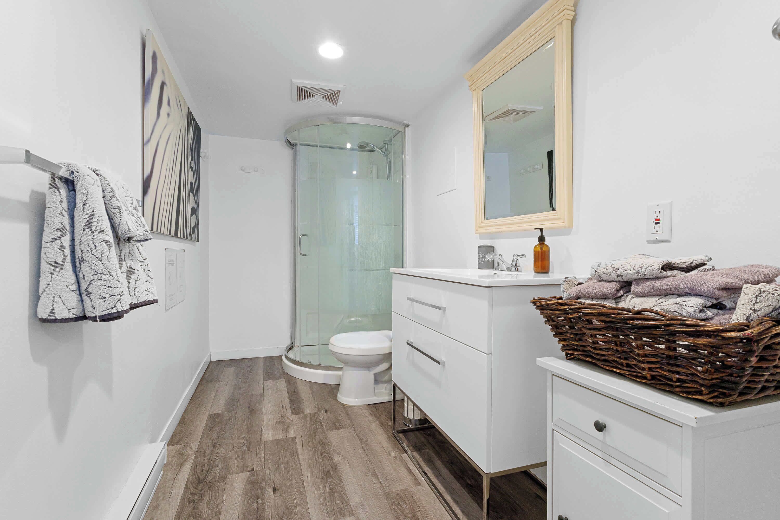 Shower, hair dryer, towels