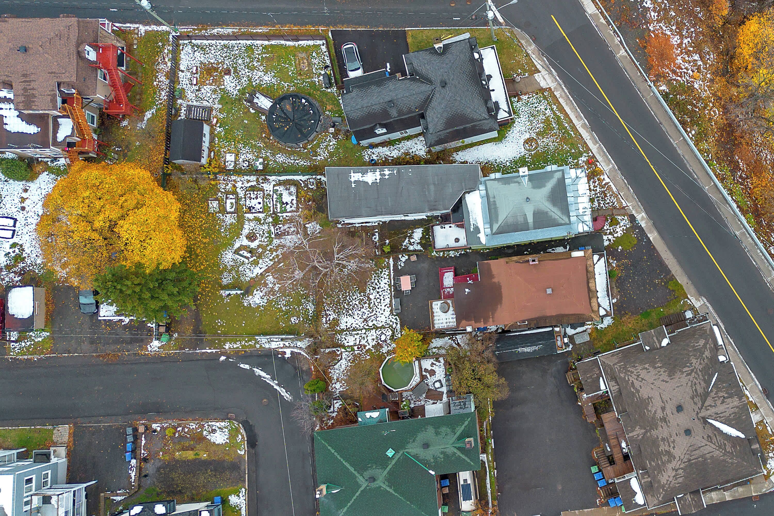 Vue aérienne d’un quartier résidentiel avec des maisons, une route et un grand arbre aux feuilles jaunes.