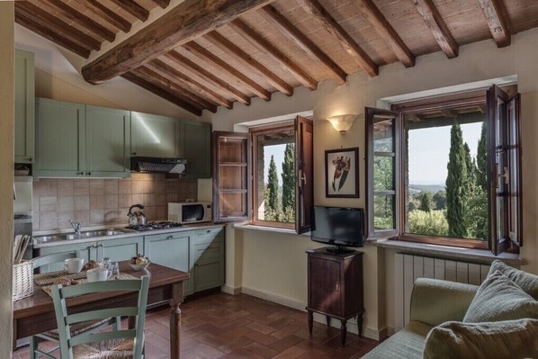 TV, fotballspill, bordtennis og bøker