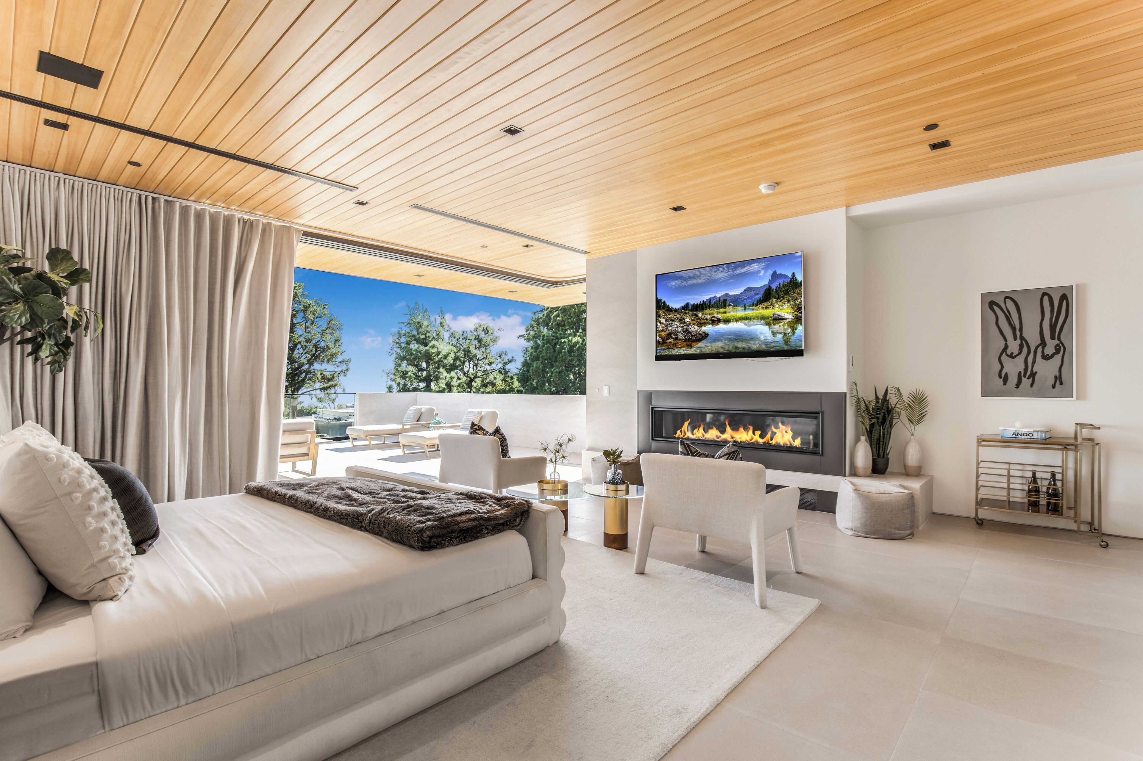 Smart TV, fireplace, ping pong, books