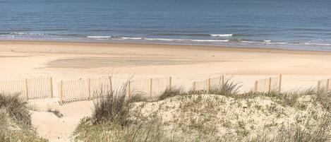 Studio | Beach | On the beach