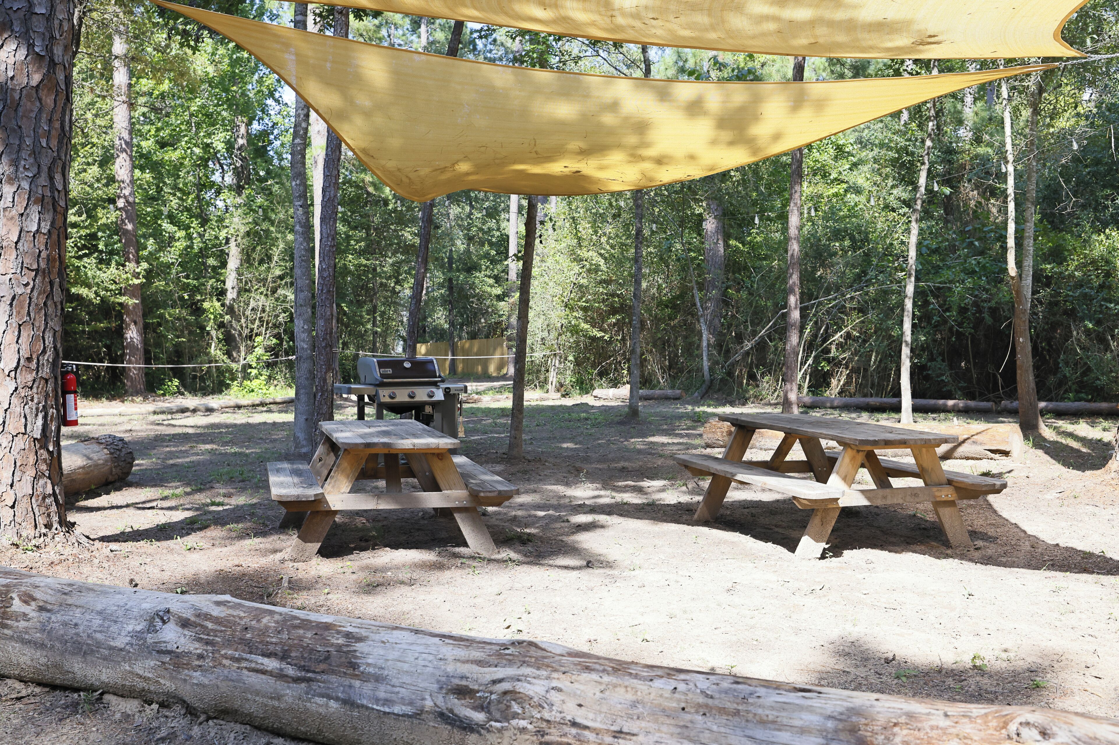 A picnic area with wooden benches and a grill, surrounded by trees.