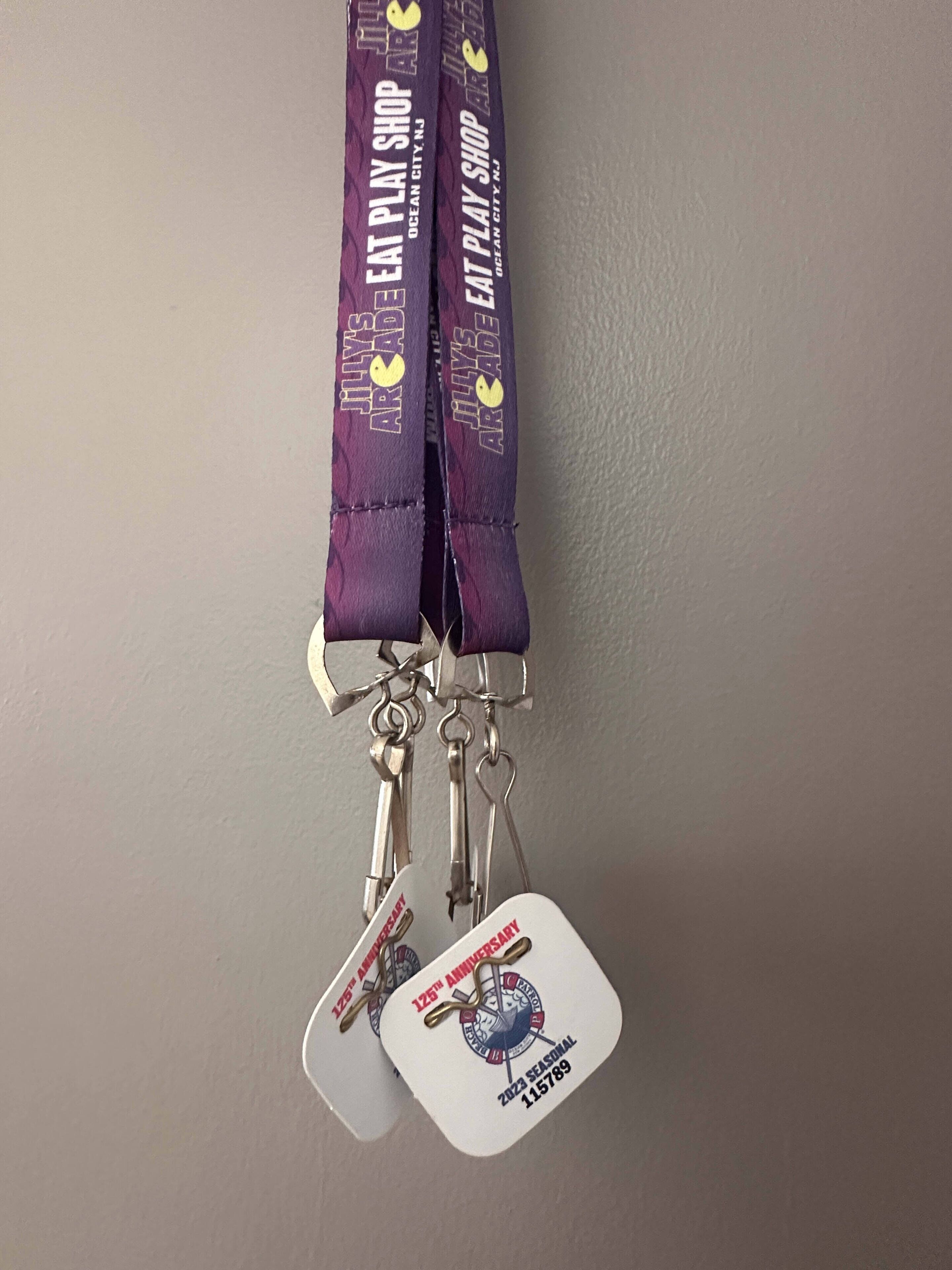 A lanyard with a keychain and two ID badges.