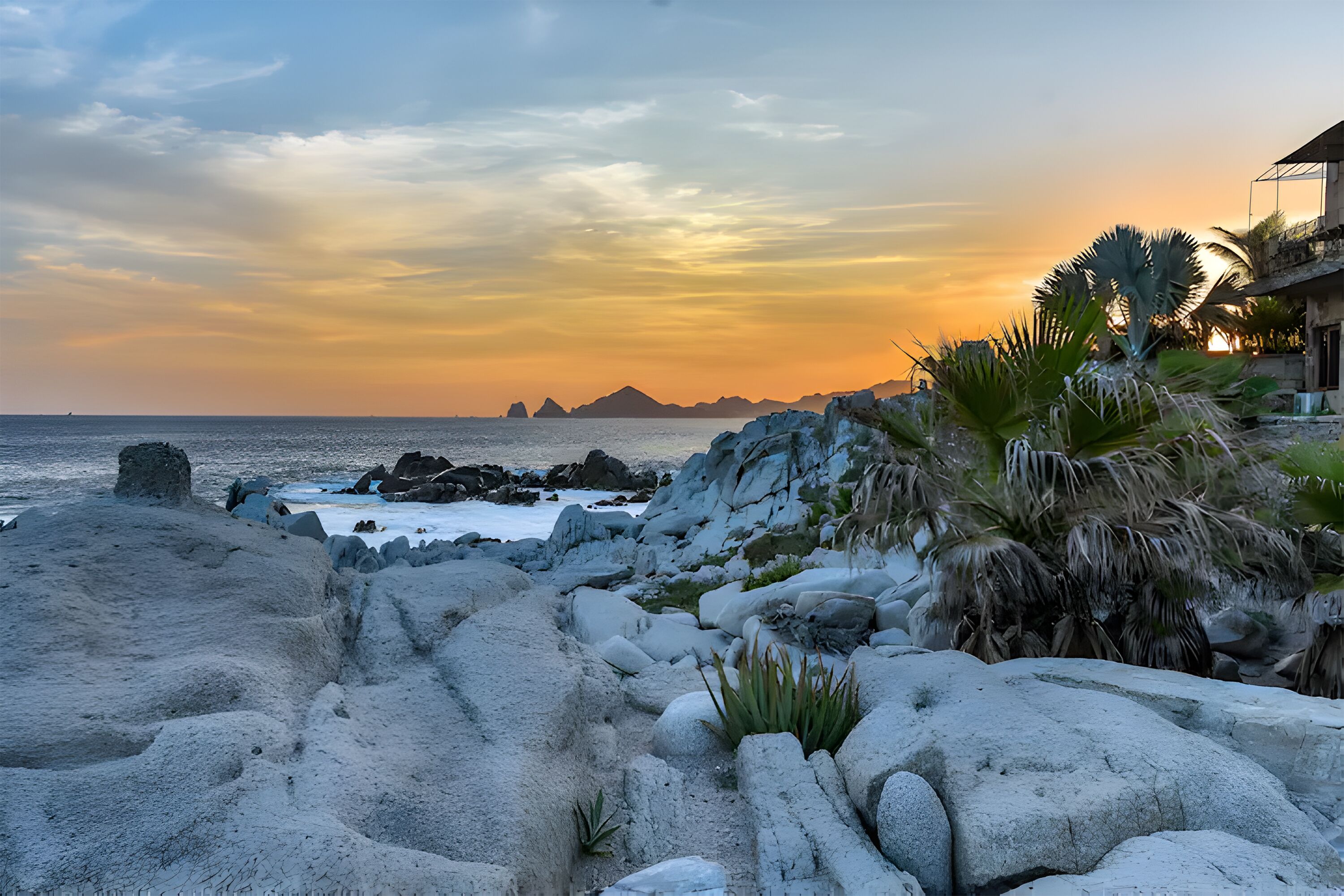 A rocky beach with a sunset, palm trees, and a building in the background.
