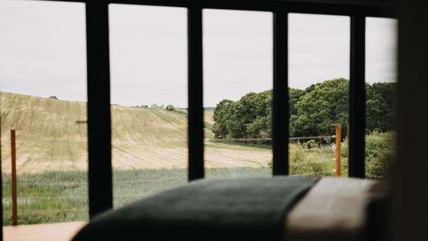 Vista desde una ventana, con un campo de hierba y árboles.