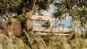 Un espacio al aire libre rústico con un gran árbol, hierba descuidada y un edificio al fondo.