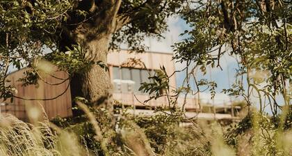 Nuthatch Elevated Treehouse