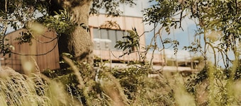 Nuthatch Elevated Treehouse