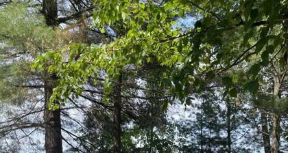 Stepaway Vacation Rentals-LCR#3