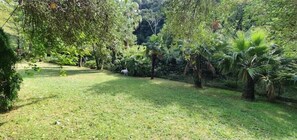 Área da propriedade