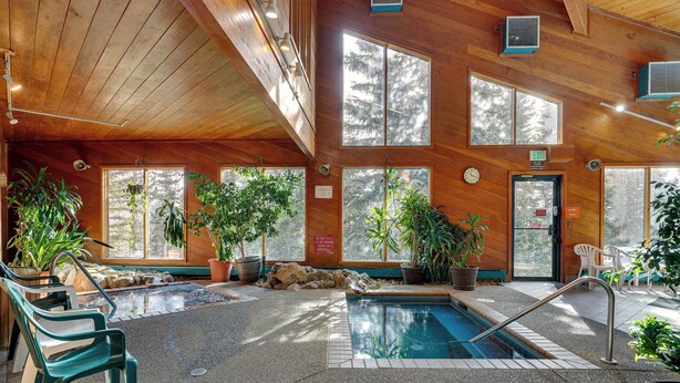 Une piscine intérieure aux murs en bois et aux grandes fenêtres, entourée de plantes en pot et agrémentée d’un banc.