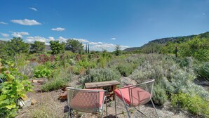 Ein Garten mit einem Holztisch und Metallstühlen, umgeben von verschiedenen Pflanzen und Bäumen.