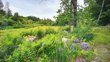 Nhà (5 Bedrooms) | Nội thất