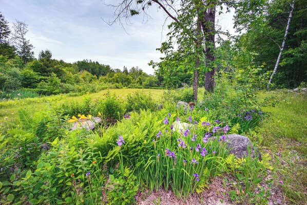 A lush garden with various plants and flowers, a large rock, and a tree. - Expansive Wilmot Escape w/ Deck Near Skiing! (Wilmot)