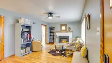 Televisión, chimenea y libros