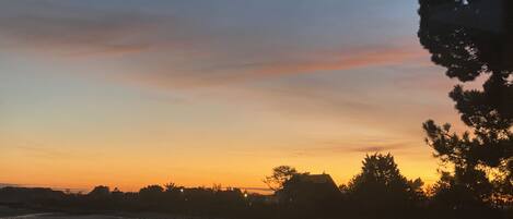 A sunset view over a beach with silhouettes of trees and buildings.