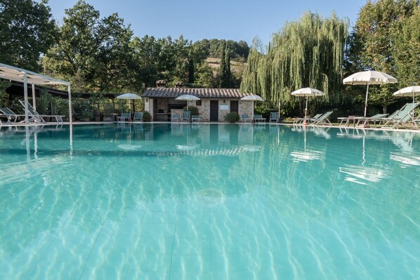 Outdoor pool - 6 MASSA MARITTIMA (Casole d'Elsa)