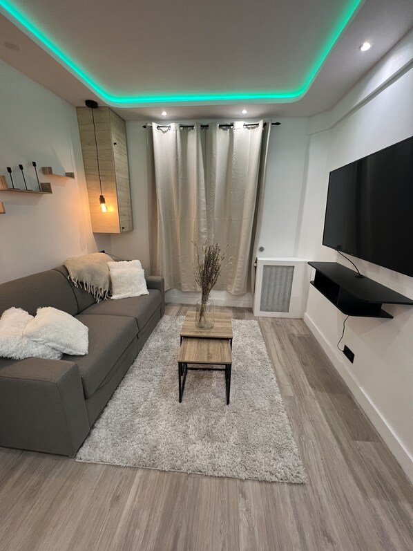 Smart TV - Charmant Appartement Joinvillais (Joinville-le-Pont)