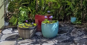 المنطقة المحيطة بالمنشأة