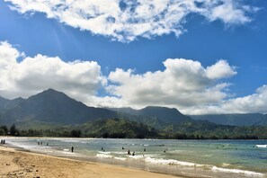 بالقرب من الشاطئ