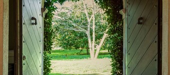 Secular forest, swimming in the pool and various activities, the essence of Palo