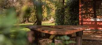 Bosque secular, baño en la piscina y actividades diversas, la esencia de Palomba