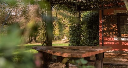Bosque secular, baño en la piscina y actividades diversas, la esencia de Palomba