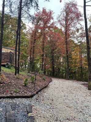 Property grounds - Black Tupelo-A Peaceful space (Spring City)