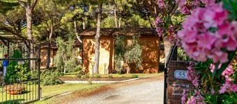 Residence with pool in Guardistallo
