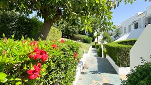 Un sendero bordeado por setos cuidados y flores rojas vibrantes, que conduce a un edificio blanco con tejado de tejas y un pequeño jardín.