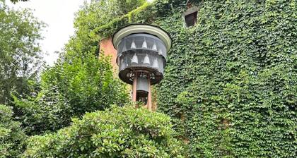 FeWo Salzmännchen in Top-Altstadtlage von Zittau