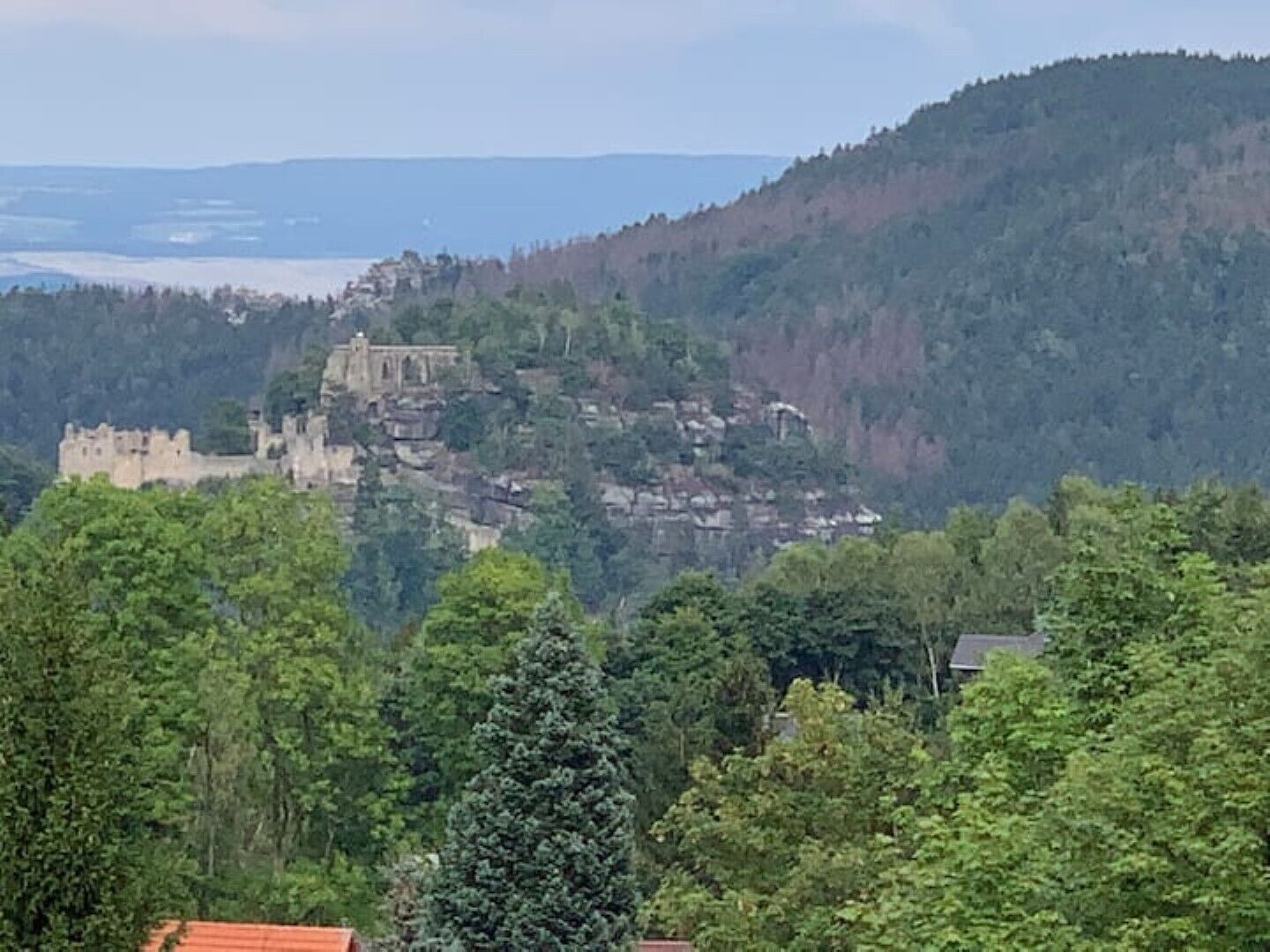 Una estructura parecida a un castillo en una colina, con un bosque denso en primer plano.