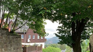 A stone wall, a house with a satellite dish, and a tree in a rural setting.