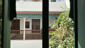 Une vue à travers une fenêtre sur un immeuble blanc, un balcon et une plante verte.