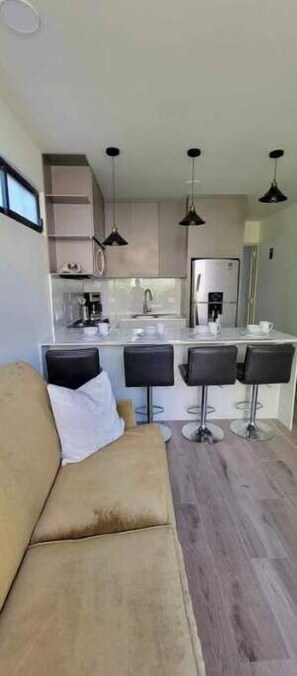 TV, offices - New 1 bedroom apartment (NAYARIT)